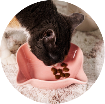 Pentru animalele de companie