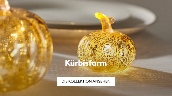 dyniowa farma banner