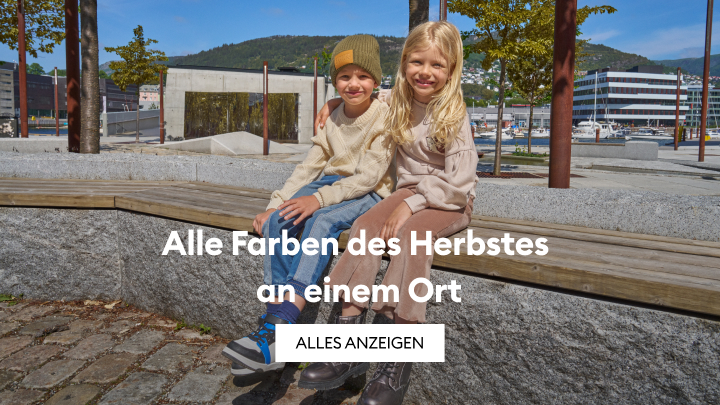 kolory jesien banner