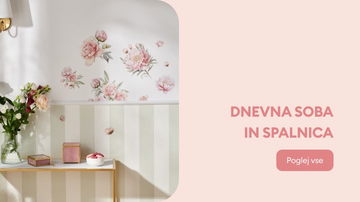 salon i sypialnia