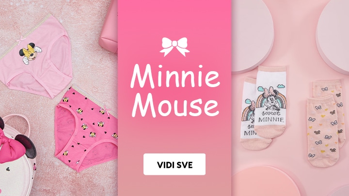 minnie mouse banner