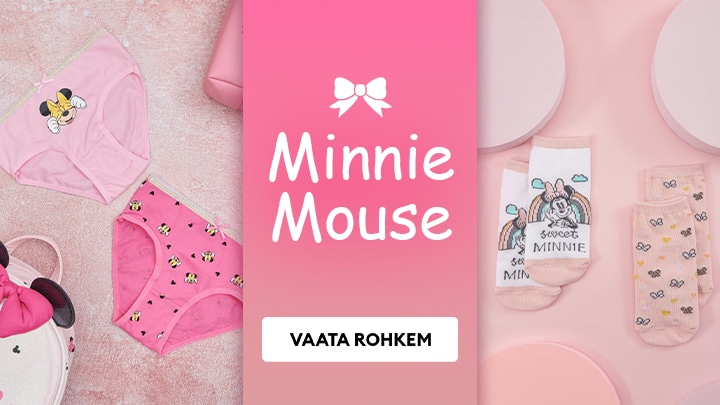 minnie mouse banner