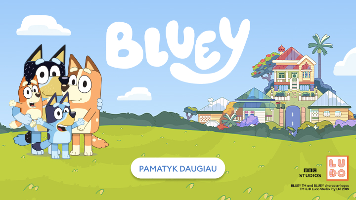 bluey banner