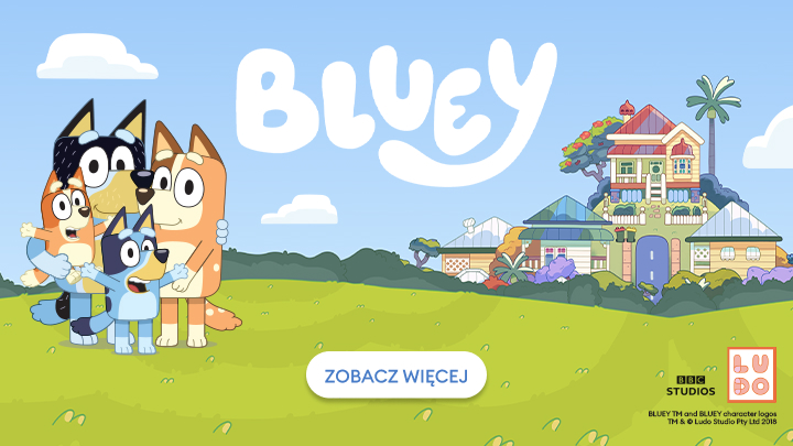bluey banner