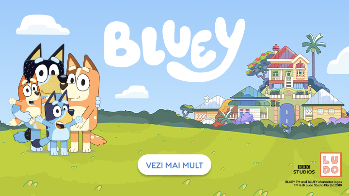 bluey banner