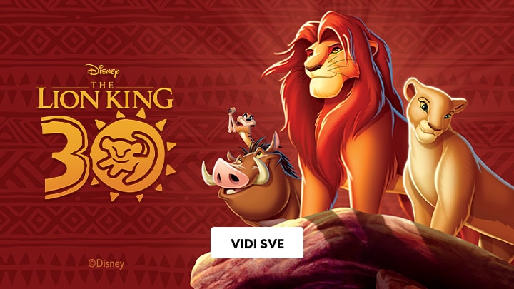 LION KING banner