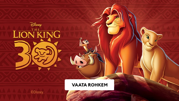 LION KING banner