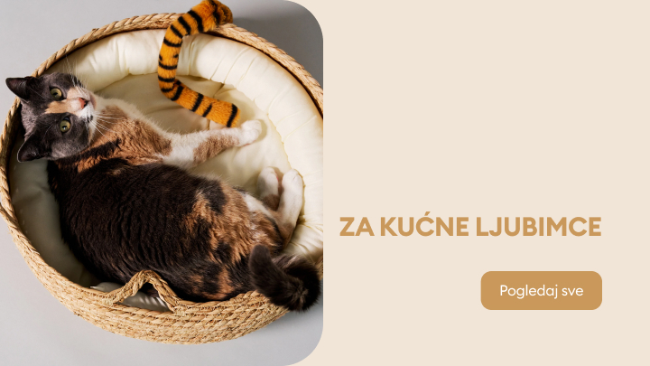 zwierzeta banner