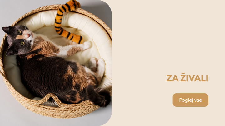zwierzeta banner