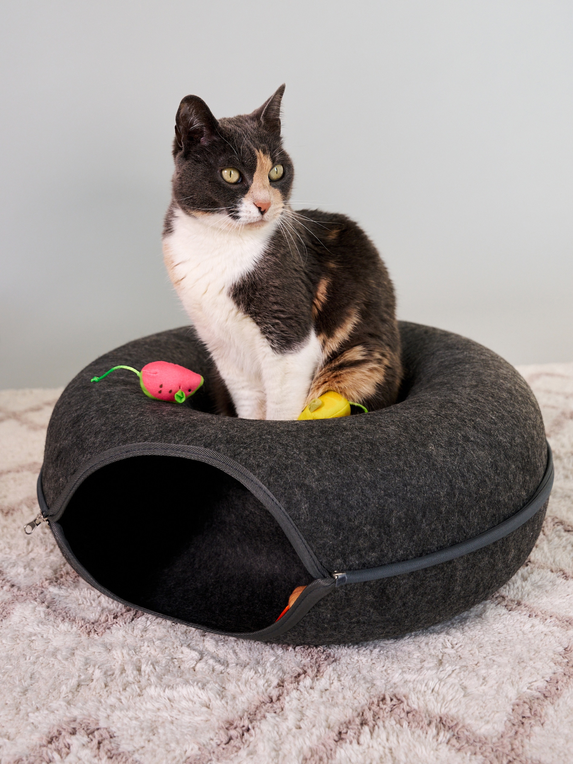 Sinsay - Κρεβάτι για γάτες - σκουρο γκρι φωτογραφία