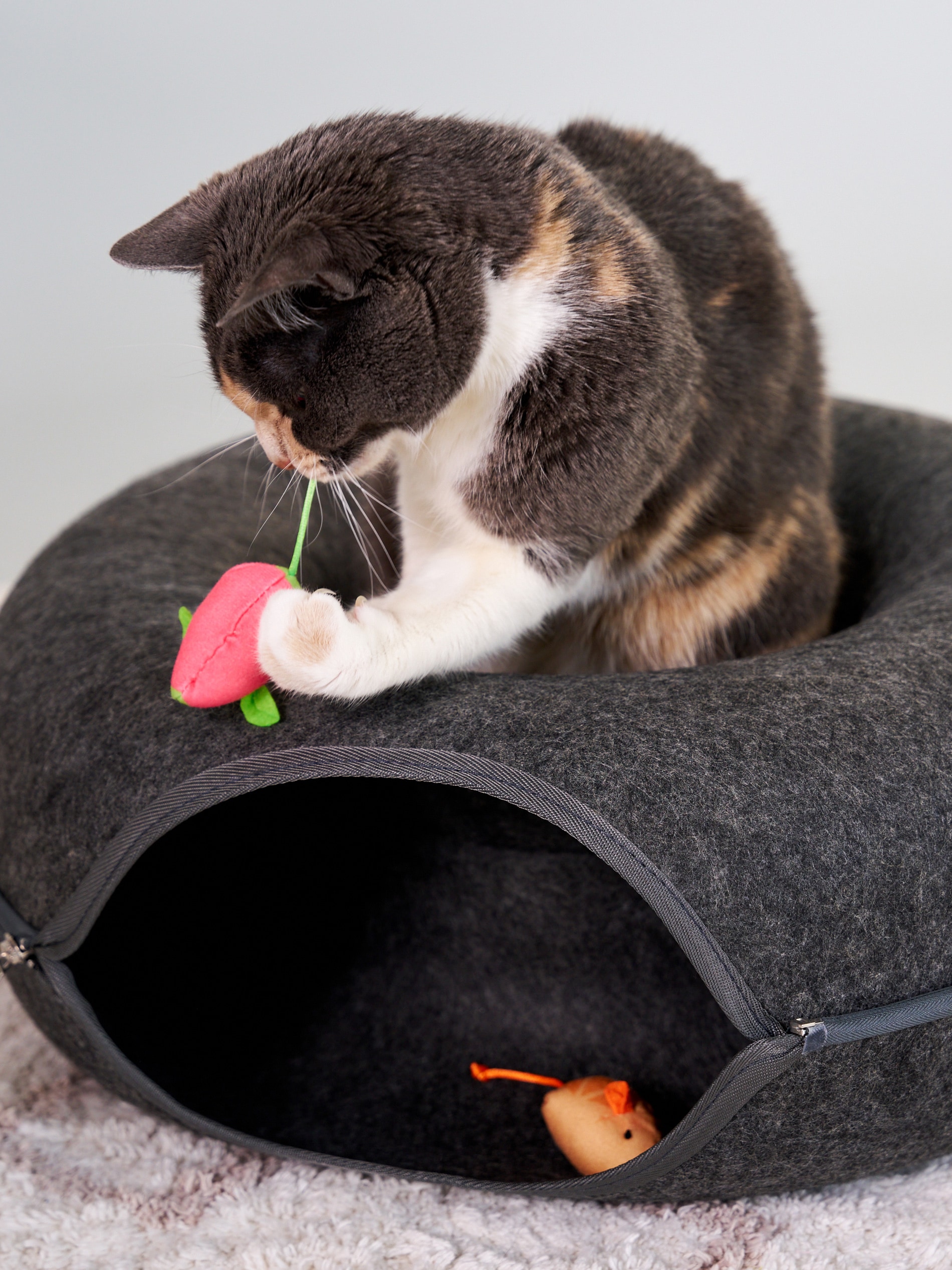 Sinsay - Κρεβάτι για γάτες - σκουρο γκρι φωτογραφία