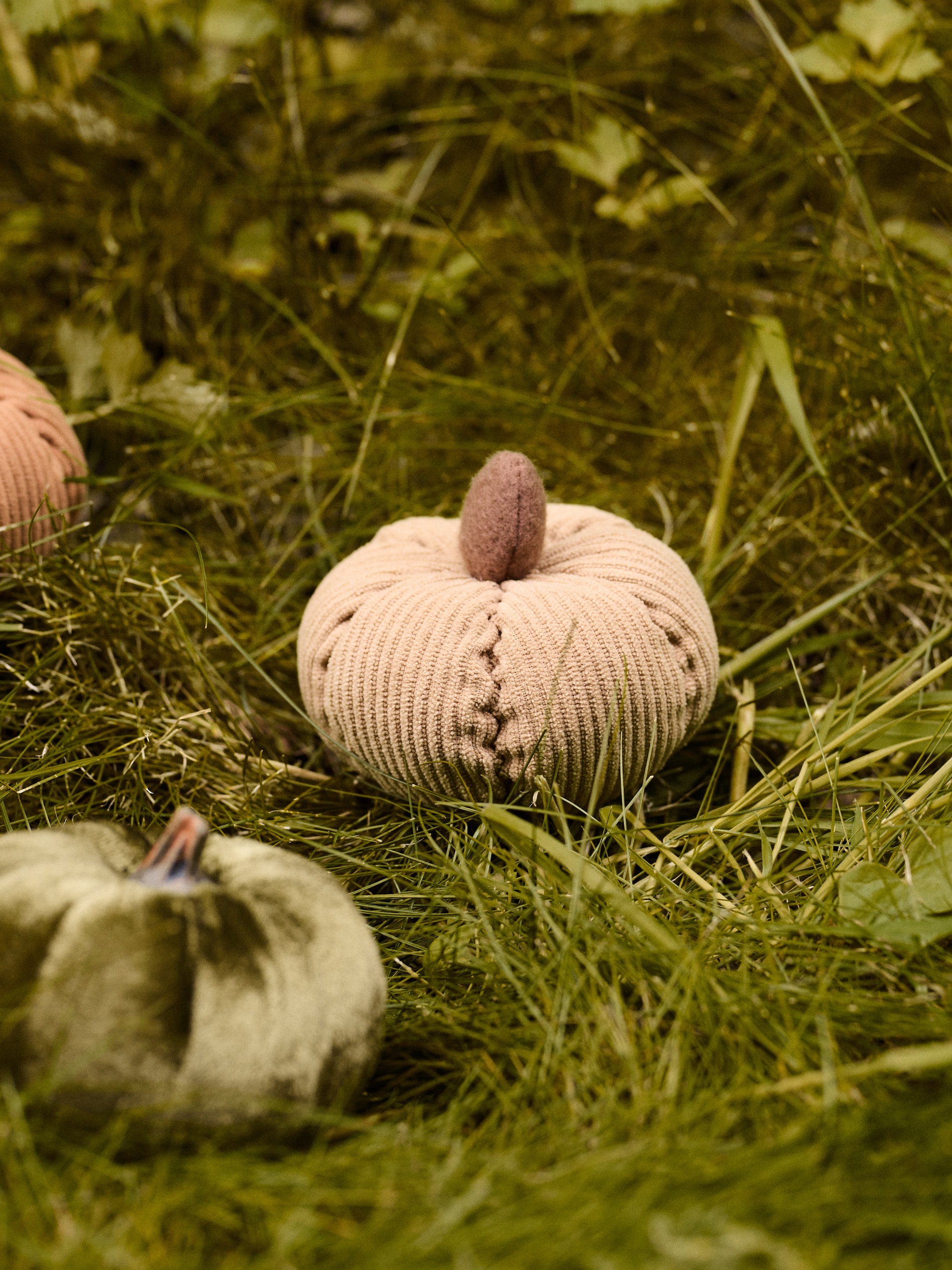 Sinsay - Όρθιο διακοσμητικό - μπεζ φωτογραφία