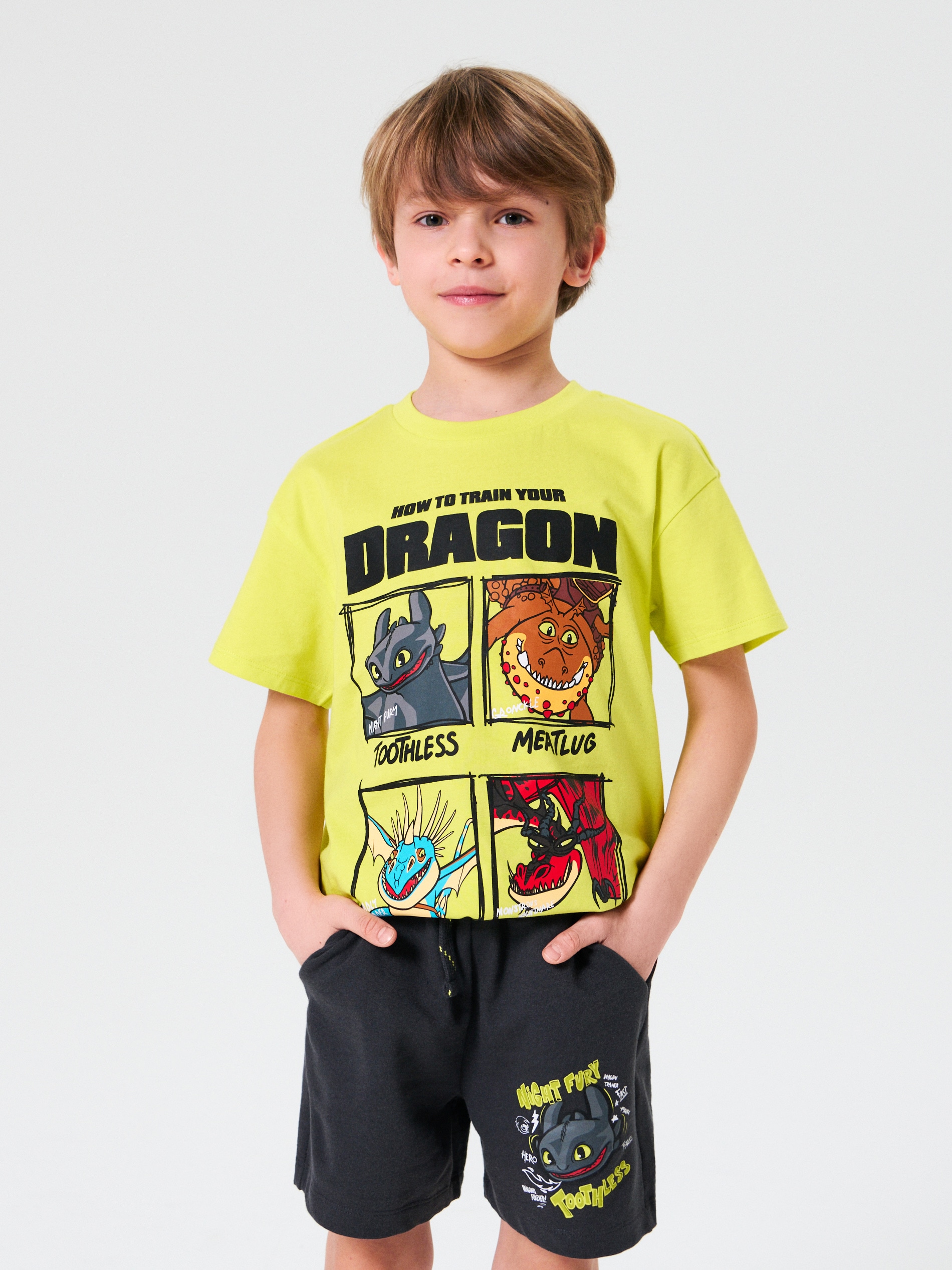 Sinsay - Szorty How to train your dragon - szary