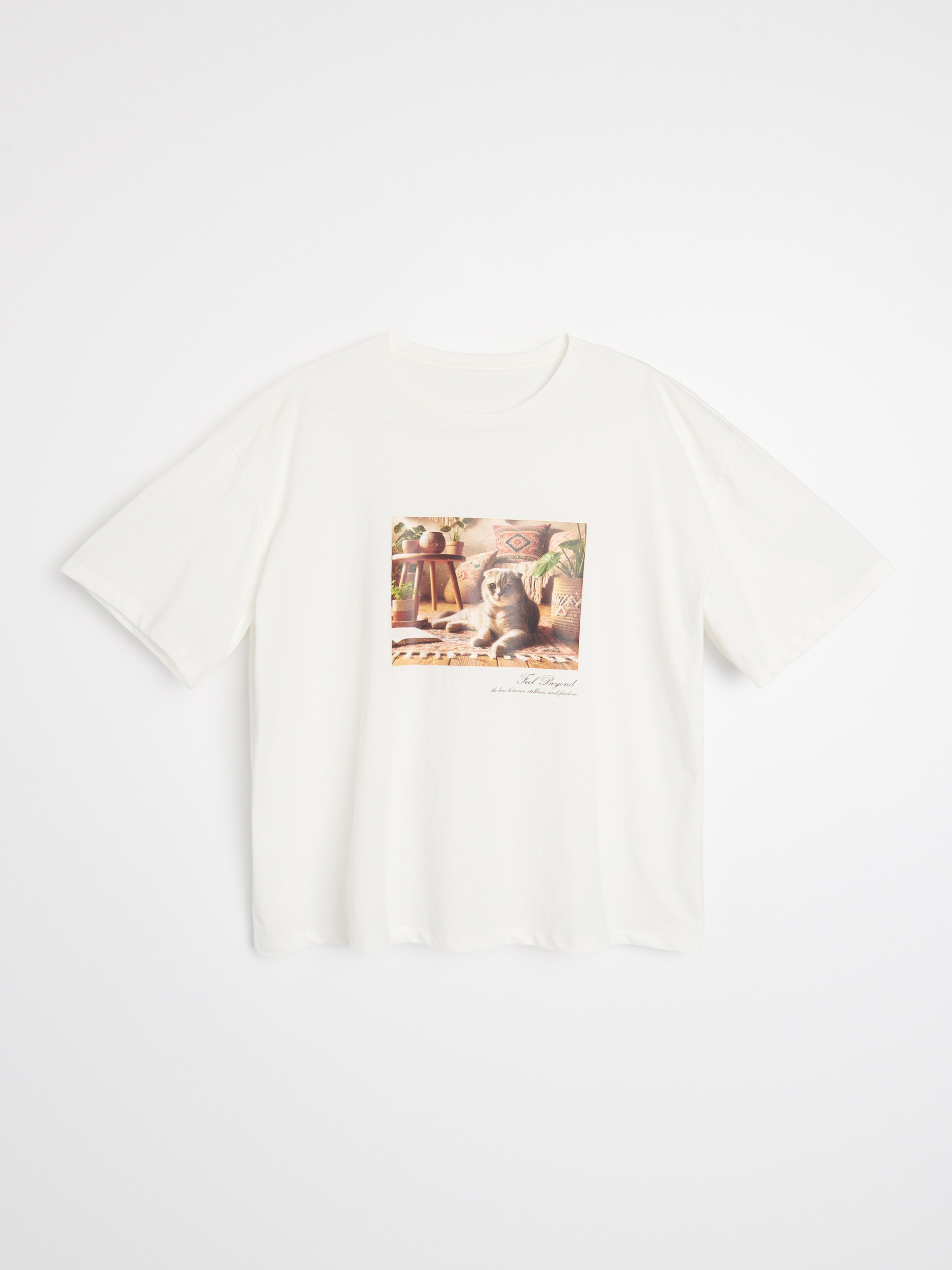 Sinsay - Βαμβακερό μπλουζάκι με στάμπα - κρεμ φωτογραφία