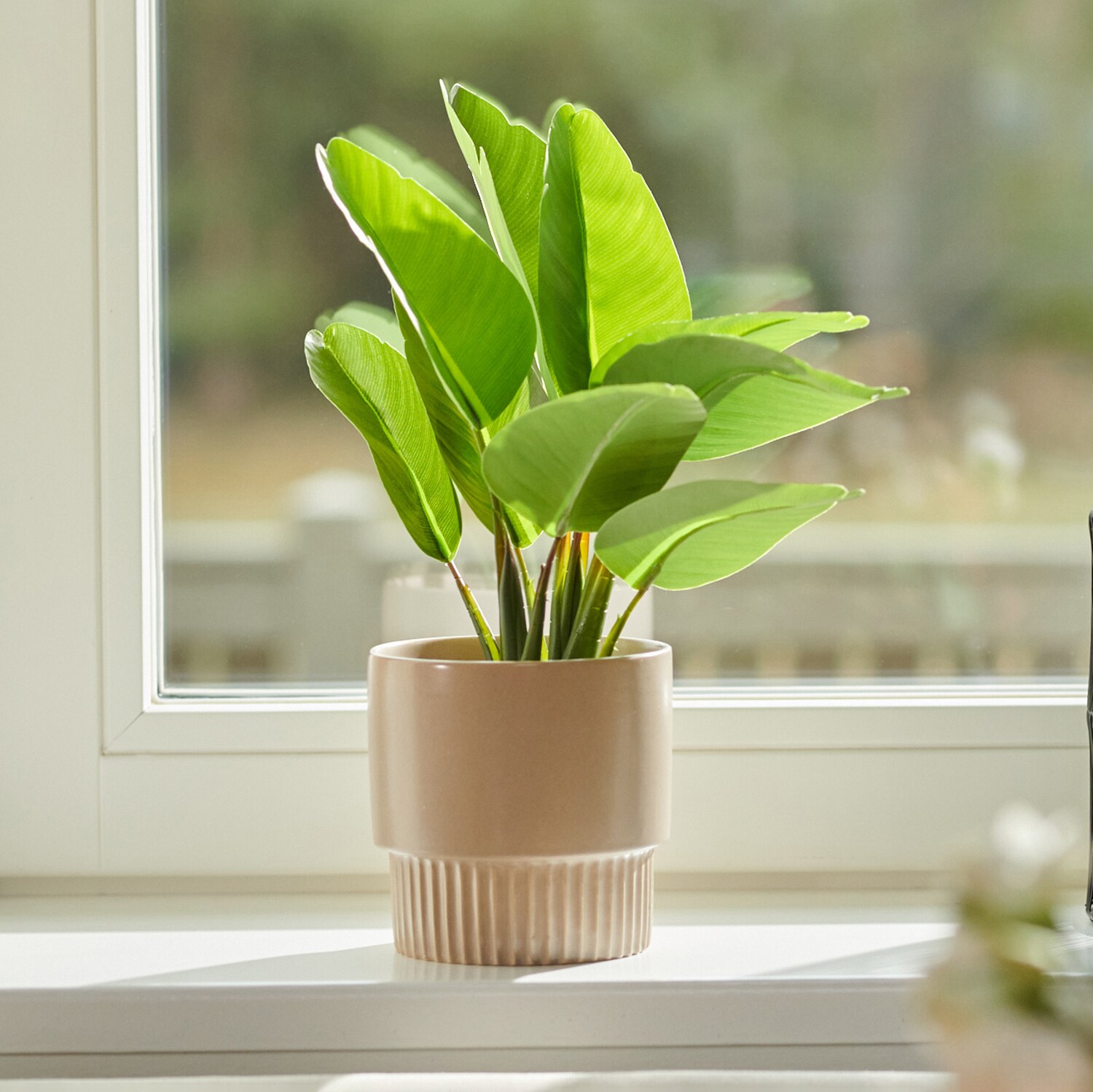Sinsay – Decorative plant – Kaki blouseroumaine-shop.com imagine noua