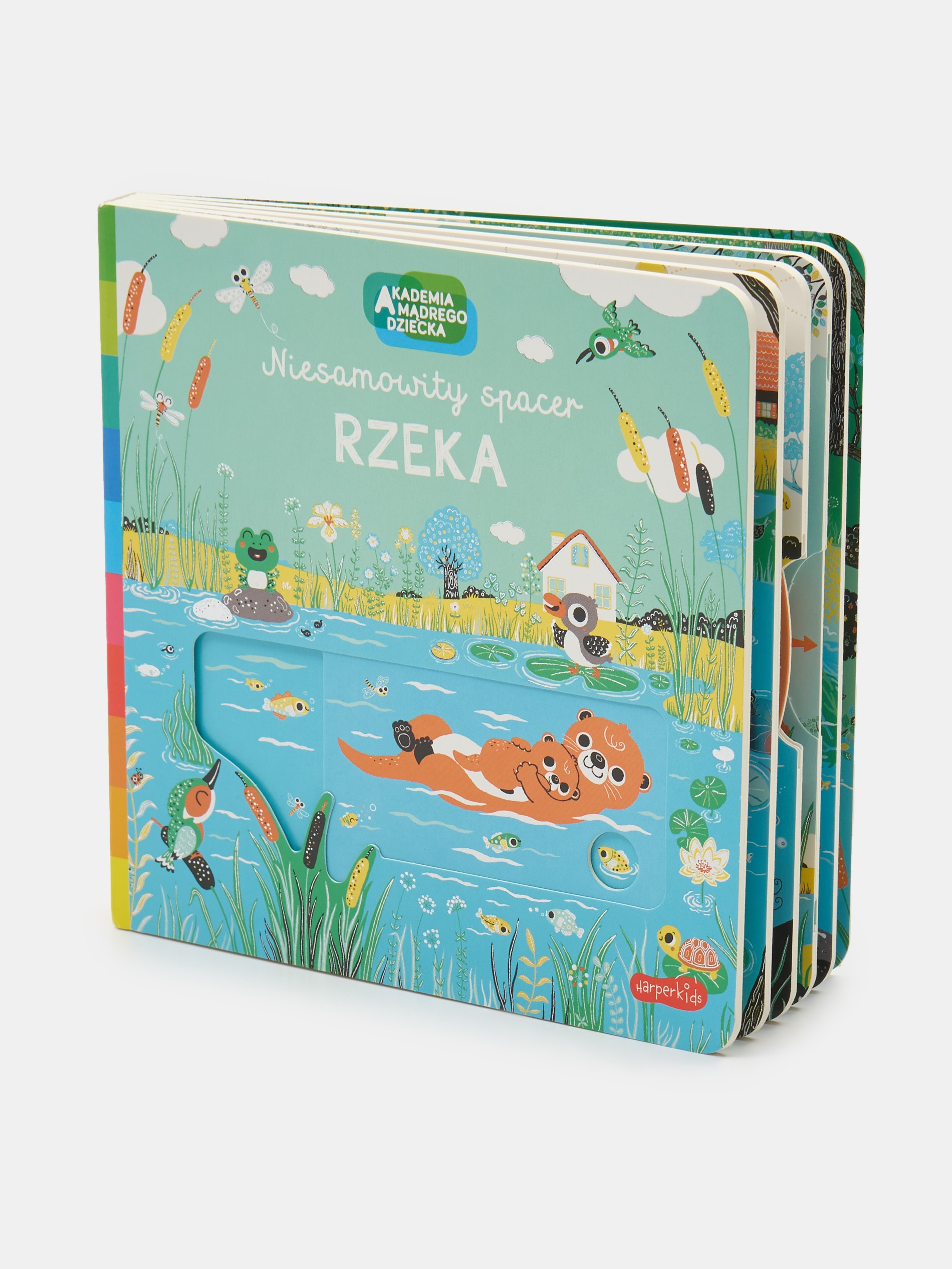 Książeczka Akademia Mądrego Dziecka - Niesamowity spacer. Rzeka