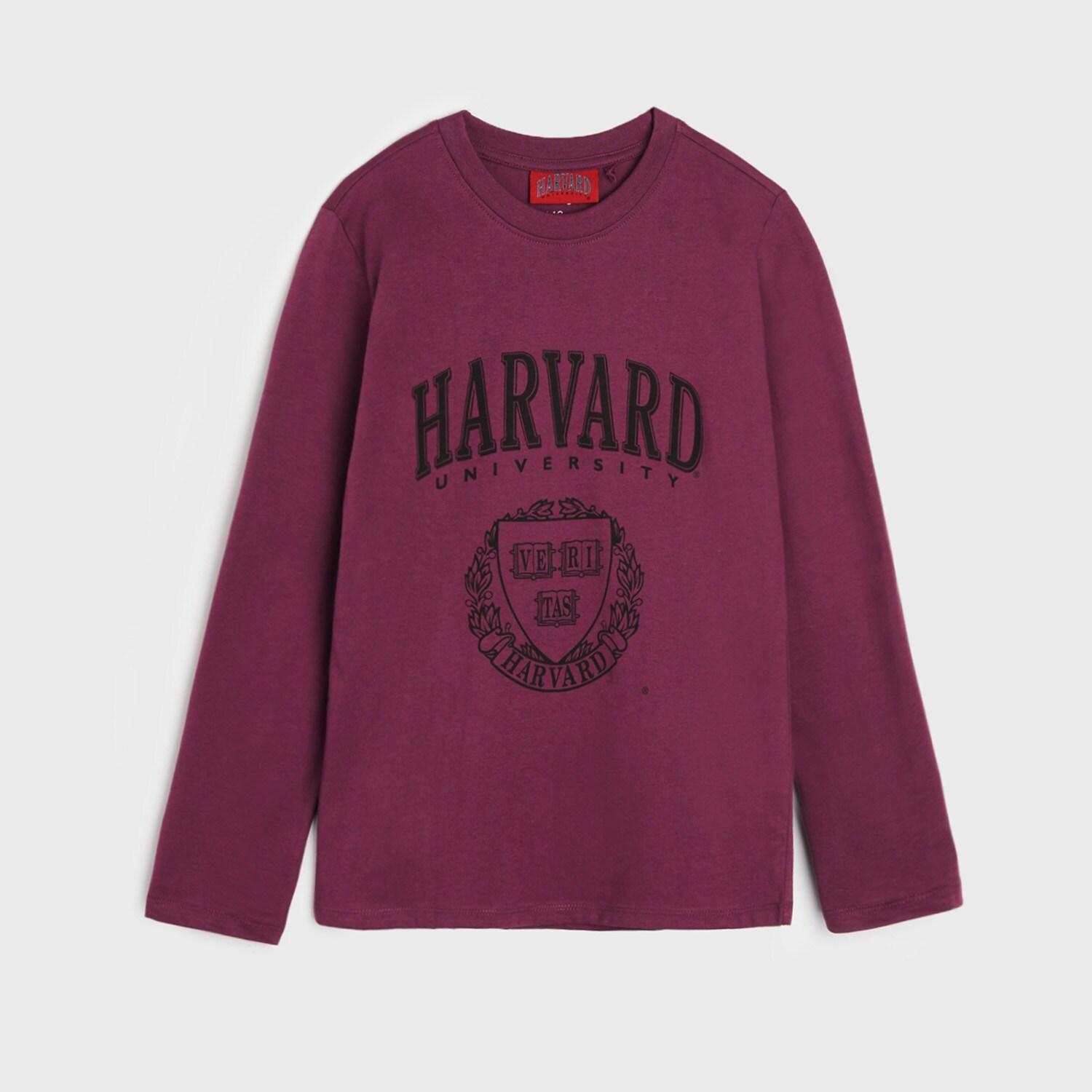 Sinsay - Tricou Harvard cu mânecă lungă - Violet