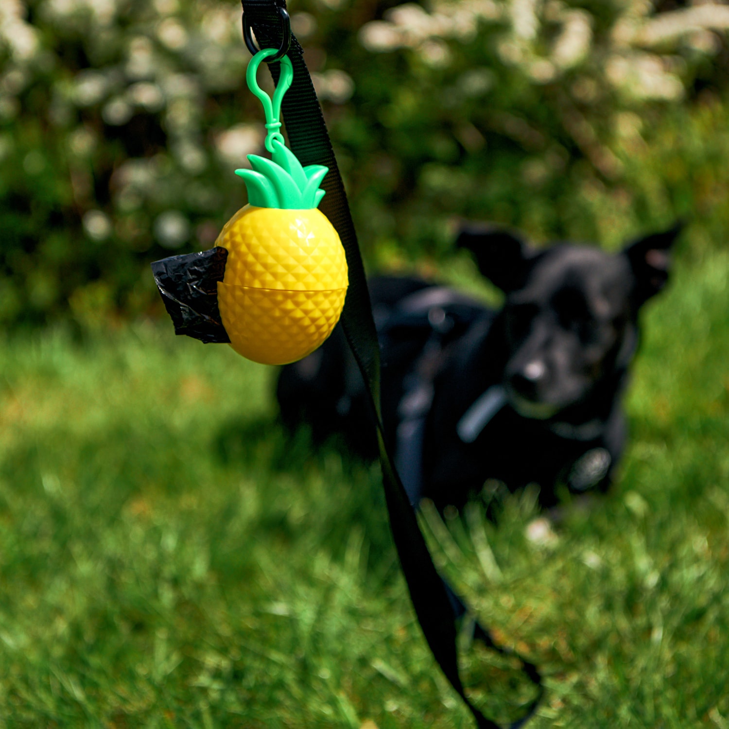 E-shop Sinsay - Dávkovač na vrecúška na psie exkrementy s vrecúškami - Žltá