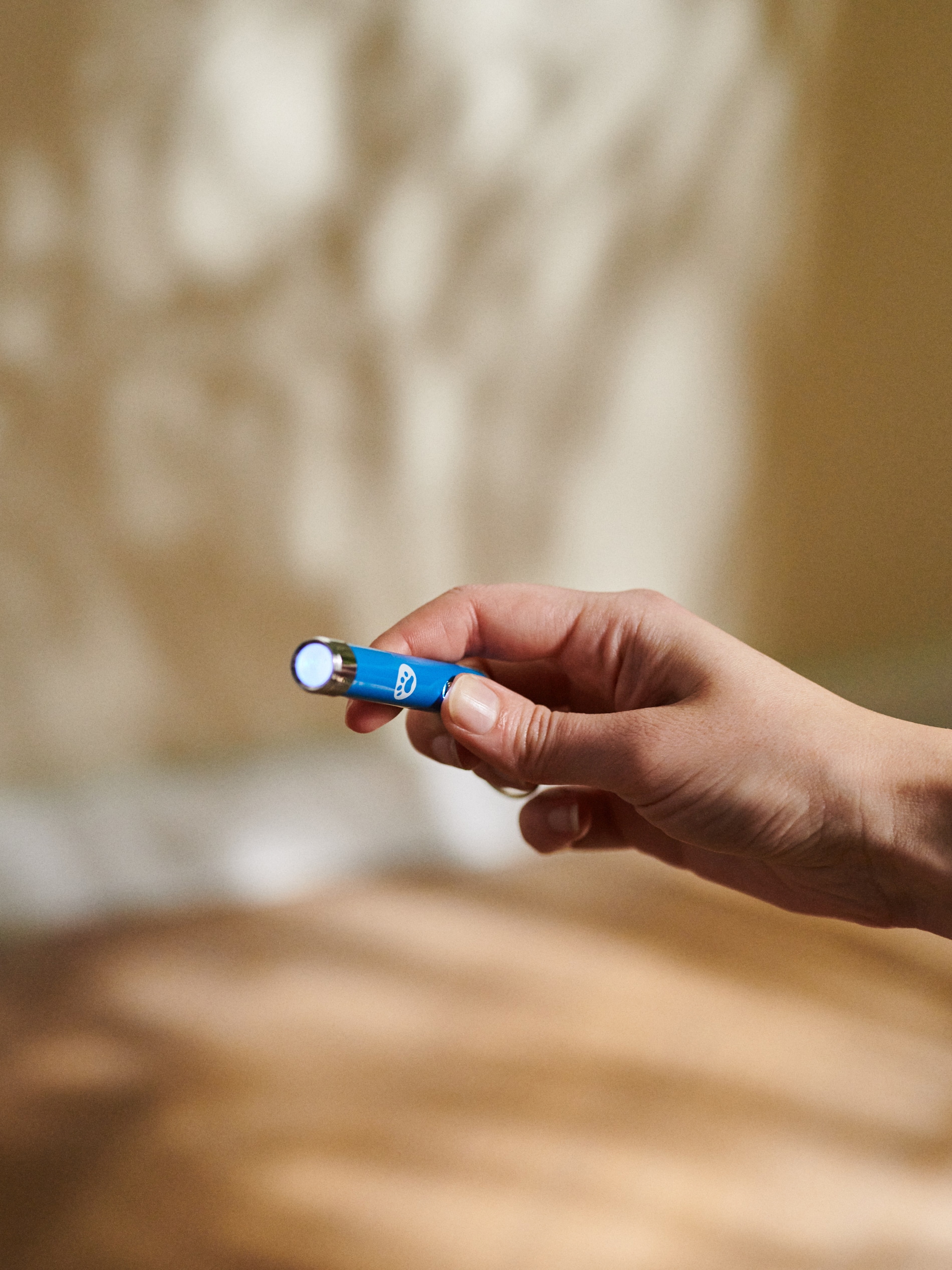 Sinsay - Παιχνίδι για γάτες - μπλε παλ φωτογραφία