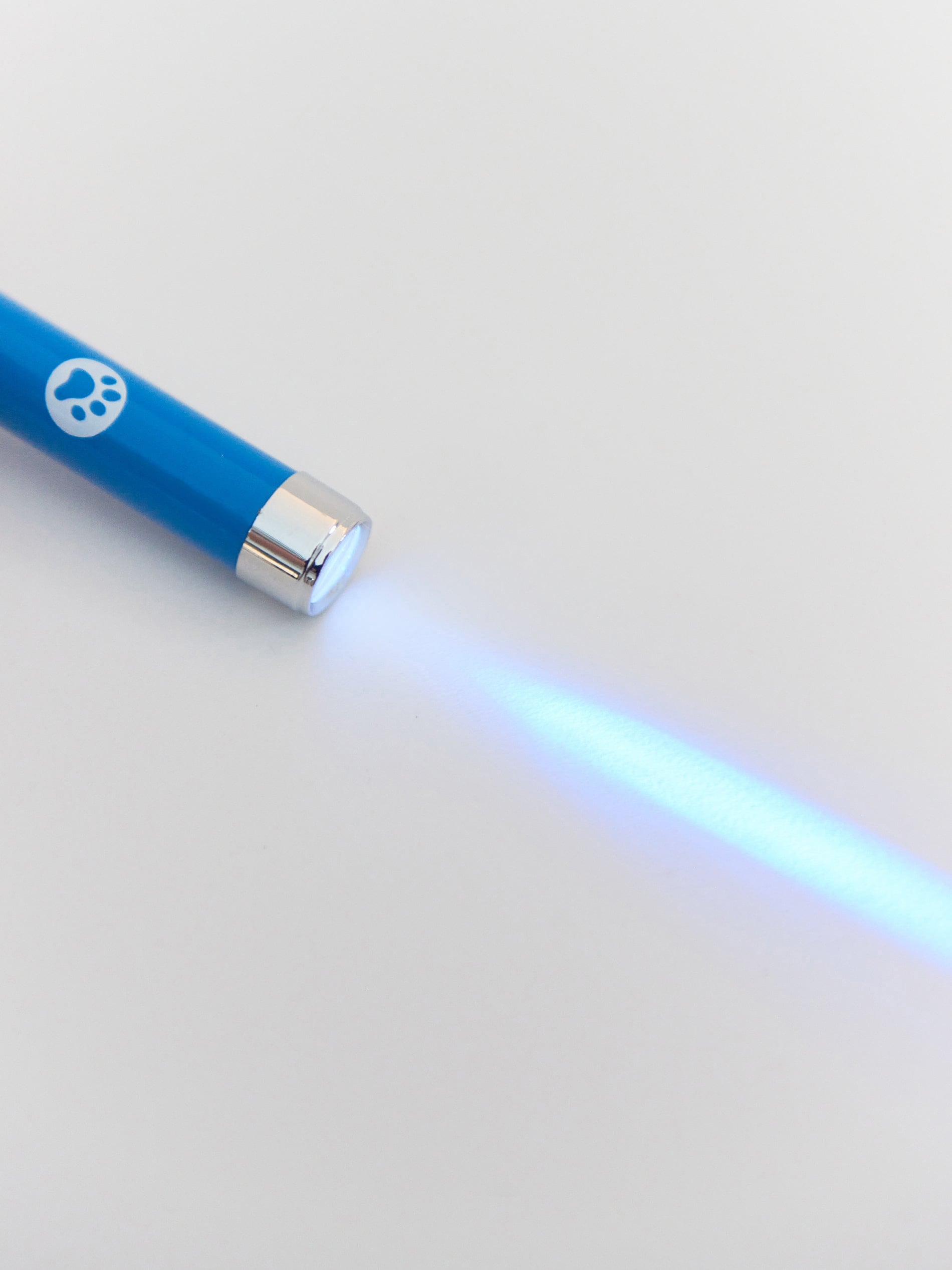 Sinsay - Παιχνίδι για γάτες - μπλε παλ φωτογραφία