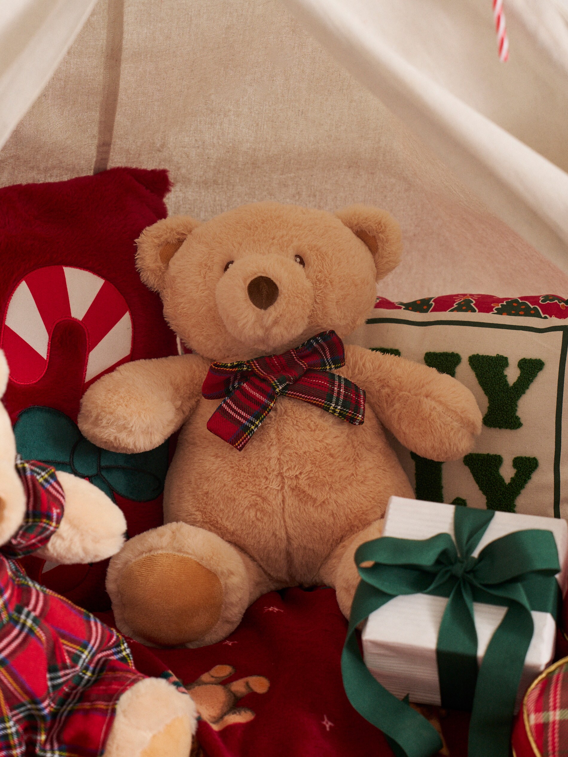 Sinsay - Λούτρινο αρκουδάκι - πολυχρωμο φωτογραφία