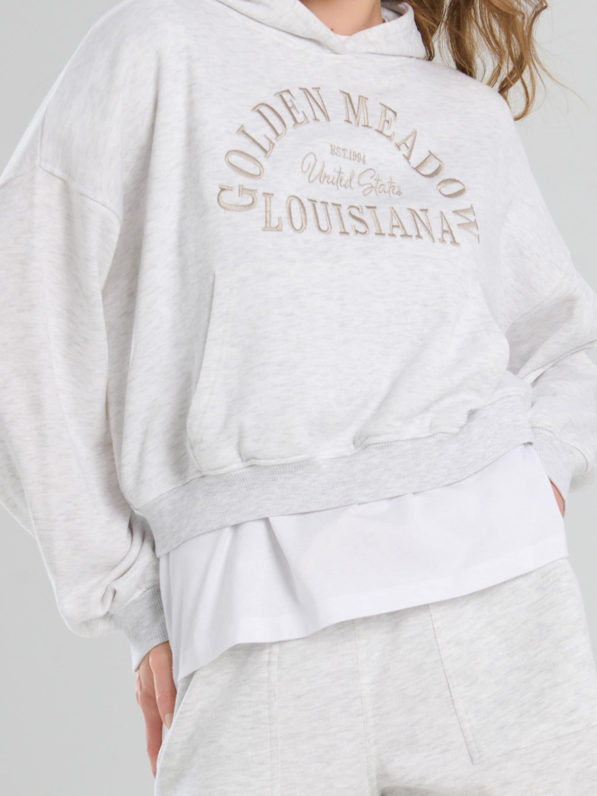 Sinsay - Bluza hoodie z haftowanym napisem - szary