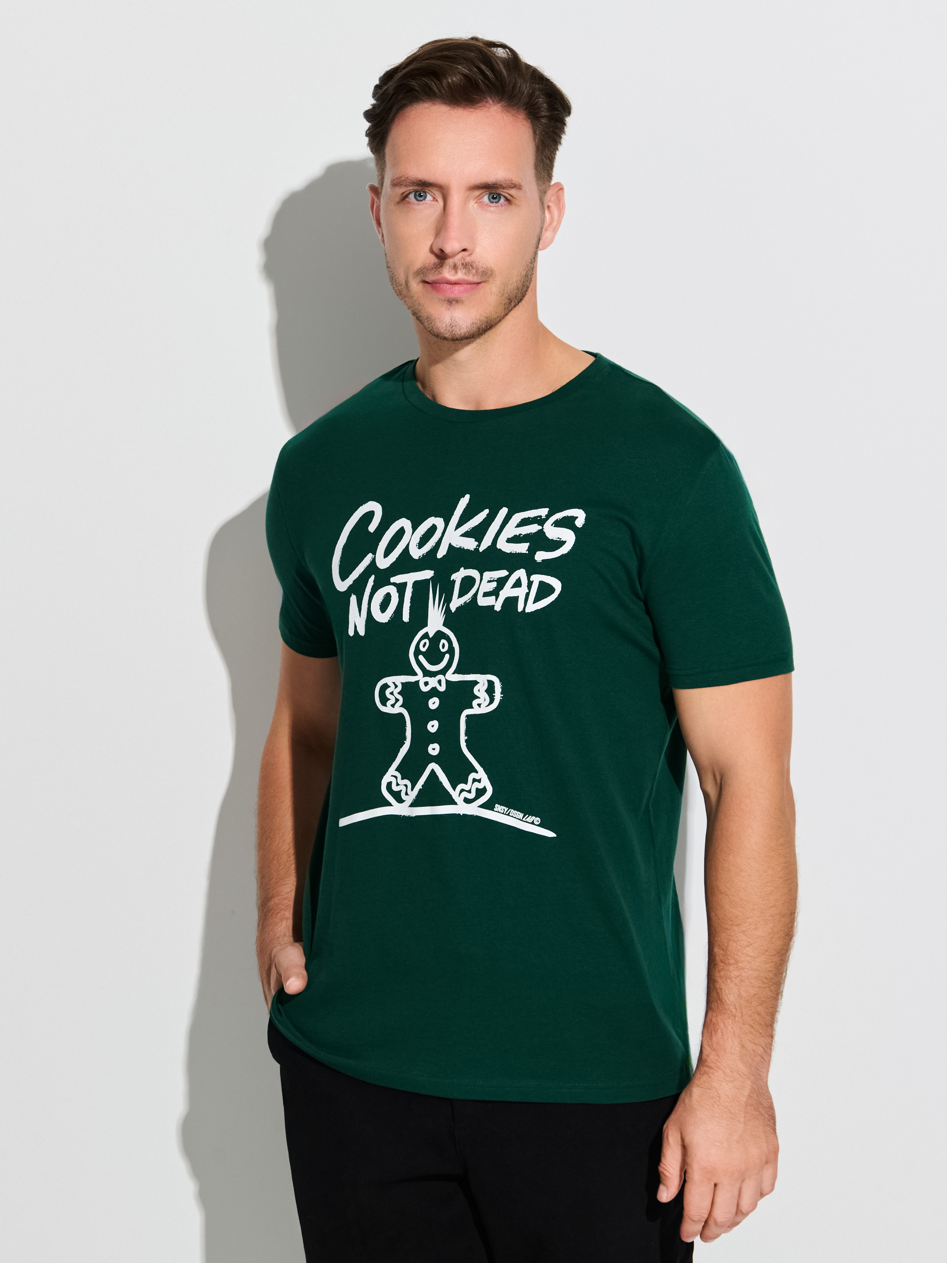 Sinsay - Βαμβακερό μπλουζάκι με στάμπα - γκρι πρασινο φωτογραφία