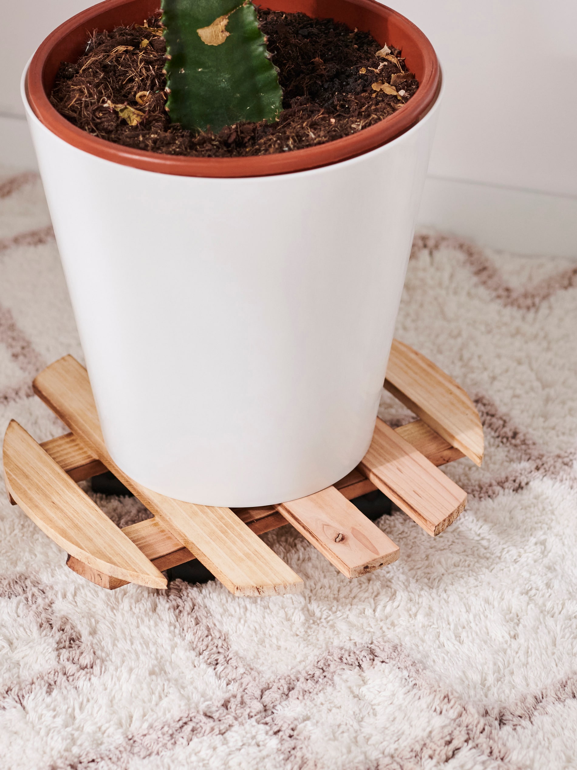 Sinsay - FLOWERPOT TRAY - BEŽ