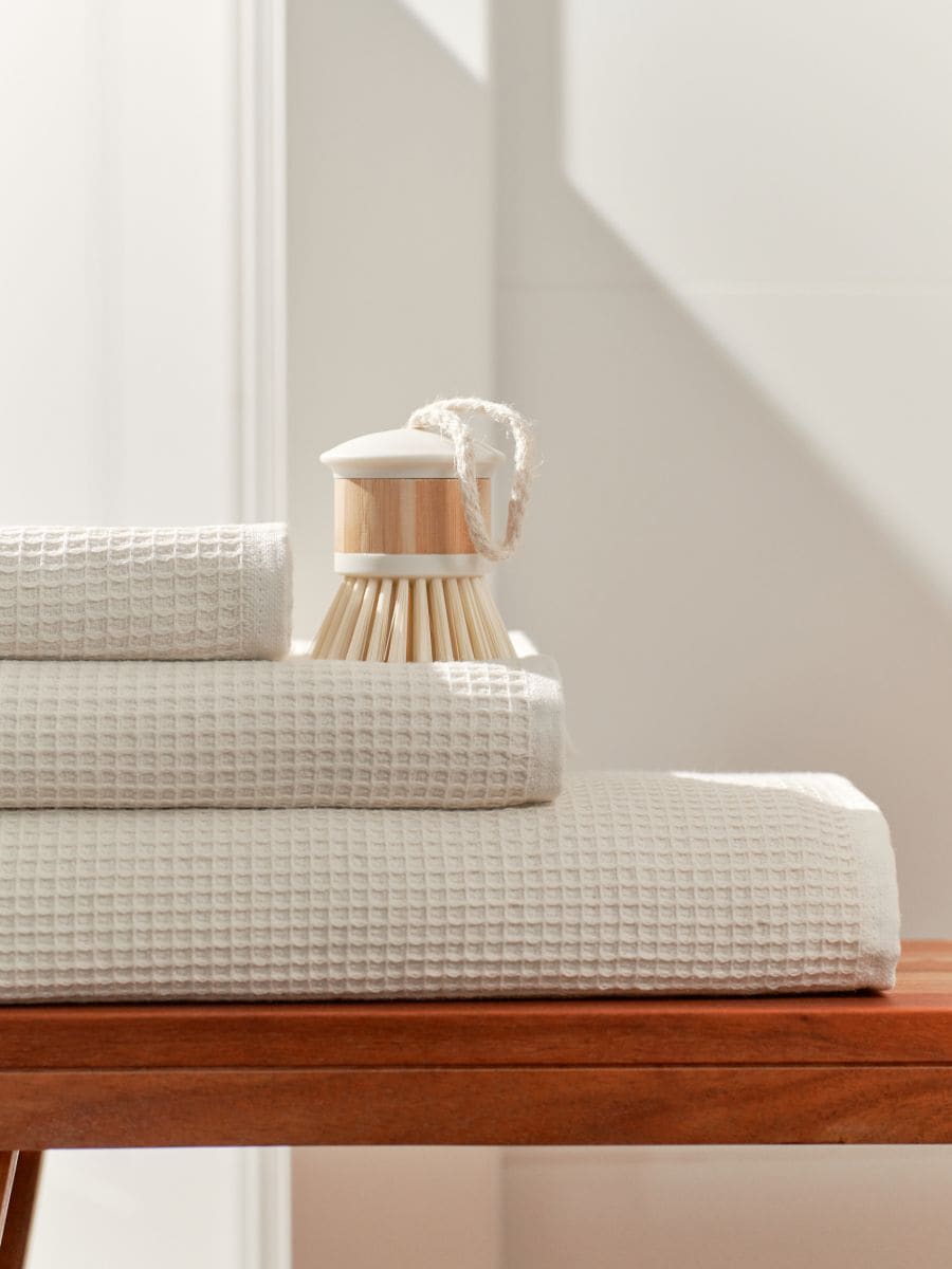 Kartáč na mytí nádobí - krémová - SINSAY