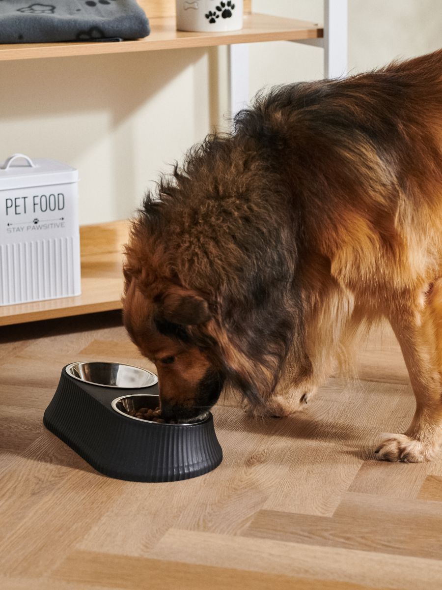 Ciotola per cane - nero - SINSAY