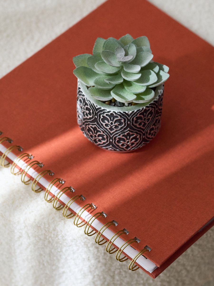 Dekoratiivne taim potis - must - SINSAY