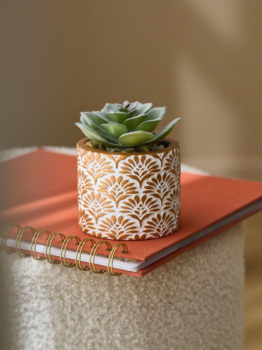 Dekoratiivne taim potis - kuldne - SINSAY