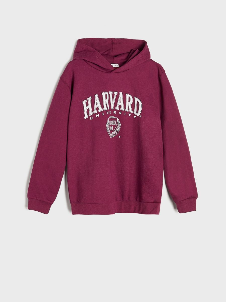 Pulover s kapuco Harvard - lila - SINSAY