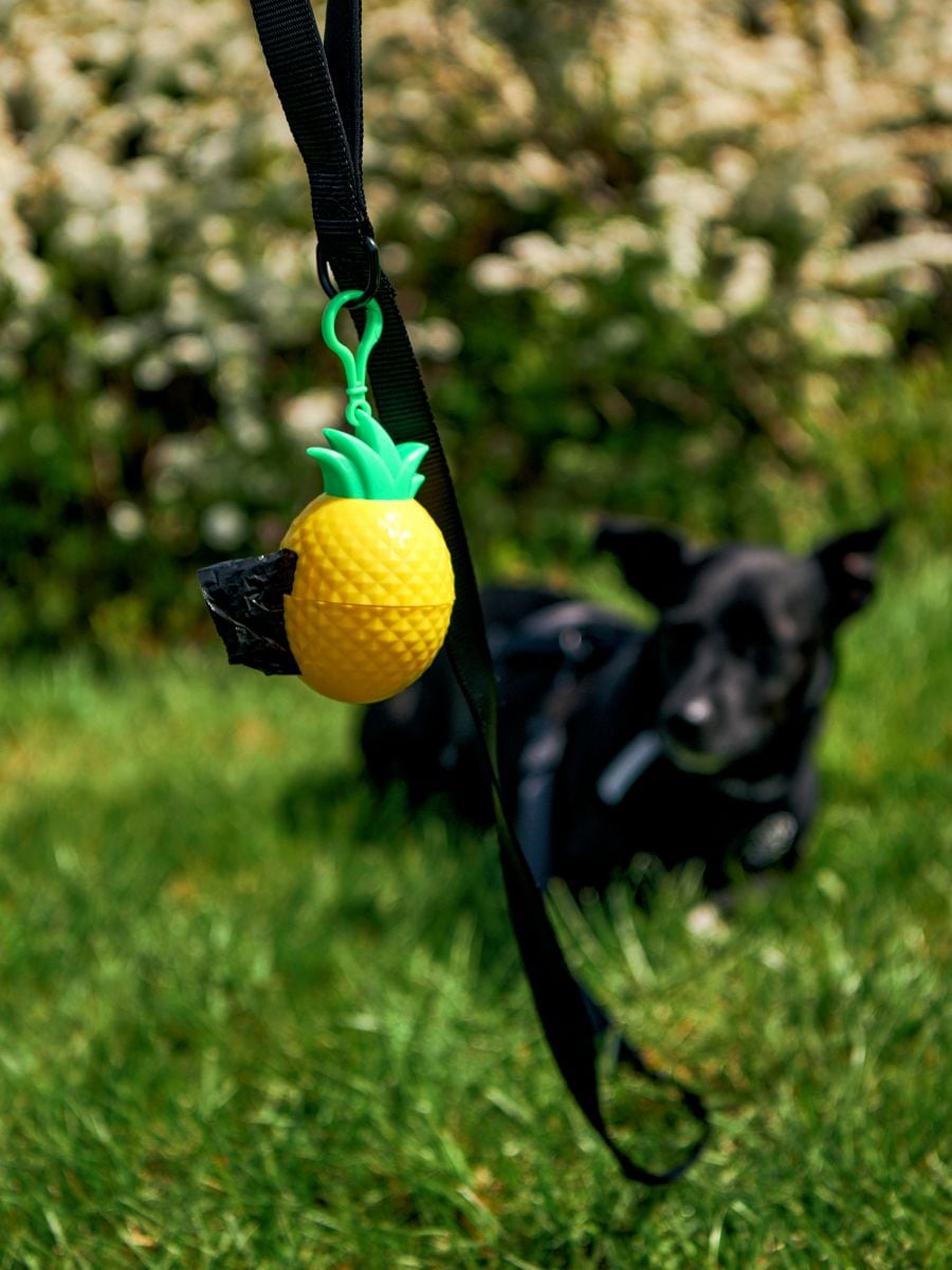 Erogatore con sacchetti per la raccolta dei bisognini del cane - giallo - SINSAY
