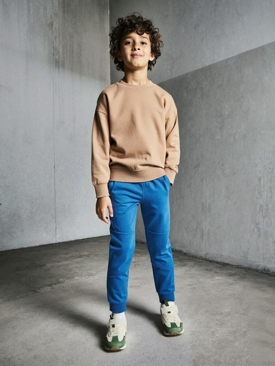 Spodnie dresowe z przeszyciami - niebieski - SINSAY