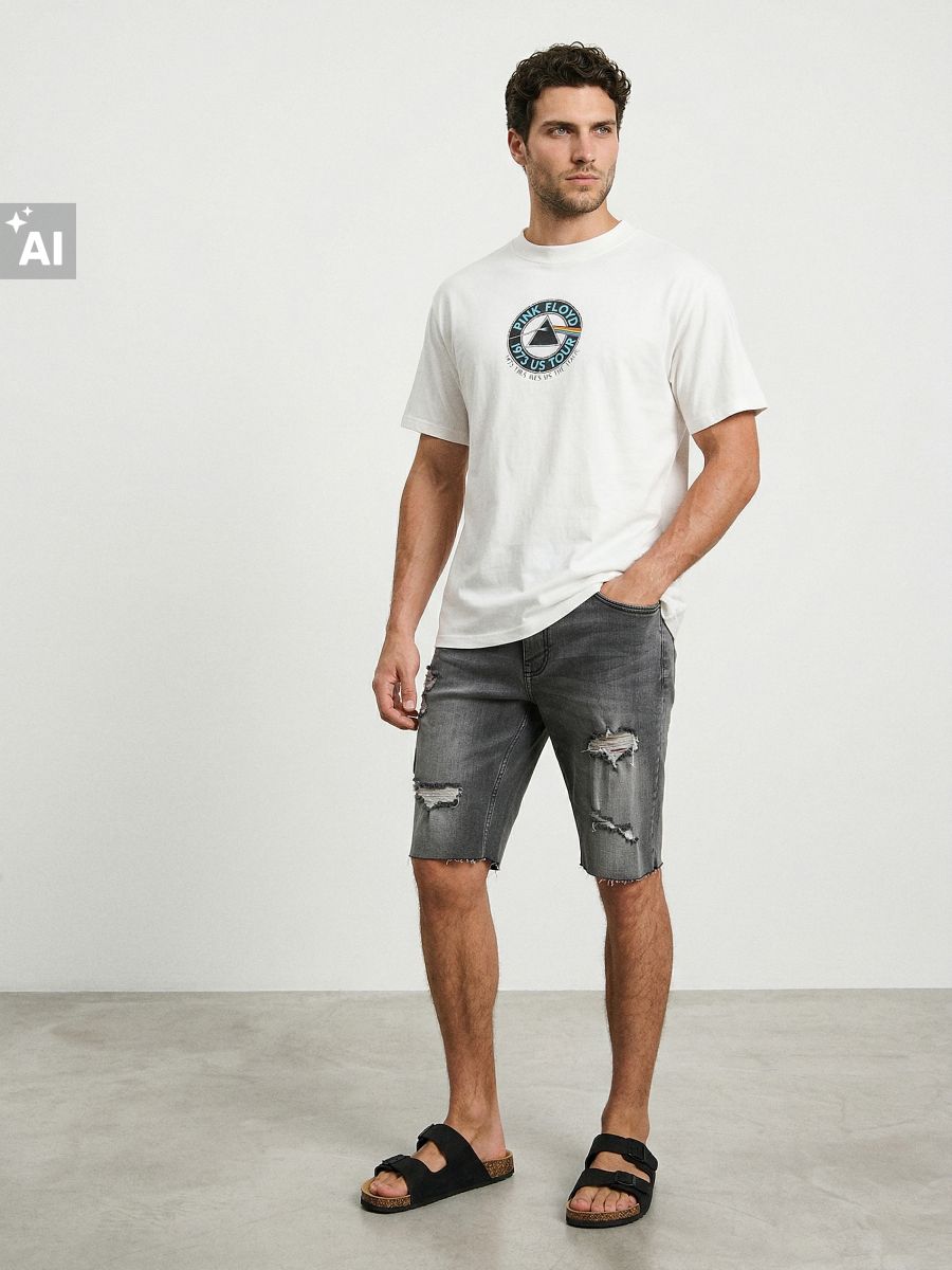 Puuvillane comfort fit T-särk trükiga Pink Floyd - kreemvalge - SINSAY