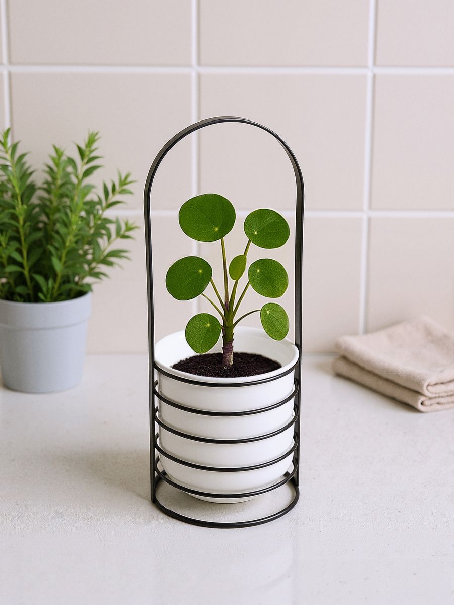 Kovinsko stojalo za rože - črna - SINSAY