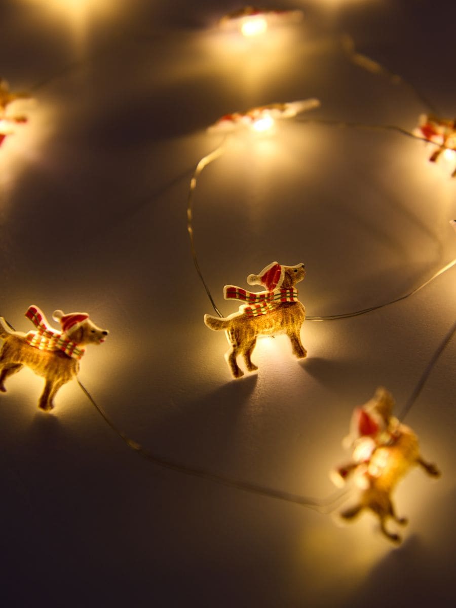 Božične LED lučke - večbarvna - SINSAY