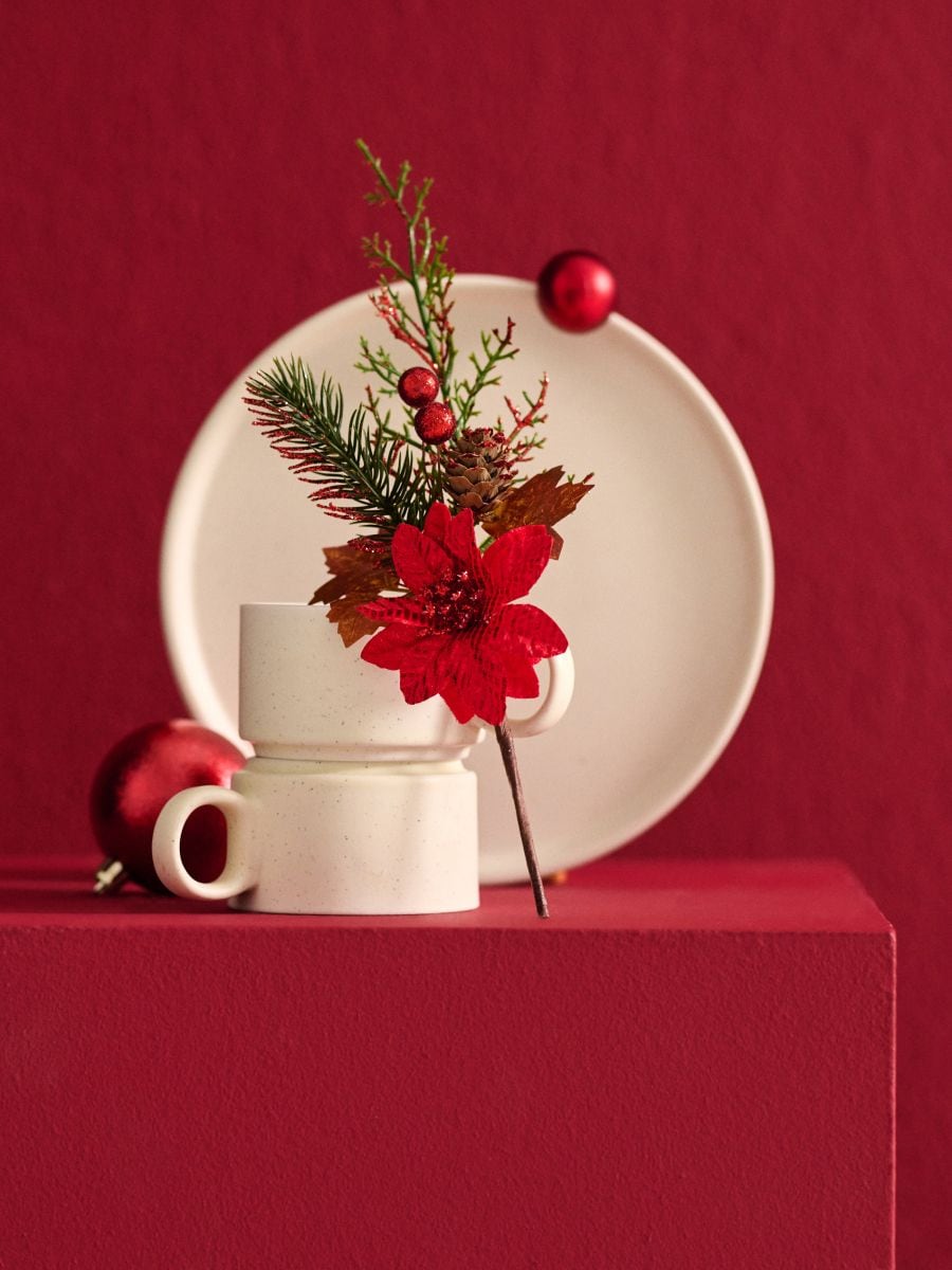 Vánoční okrasná rostlina - Vánoční hvězda 2 pack - červená - SINSAY