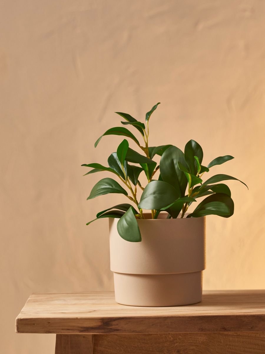 Plant pot cover - nude - SINSAY