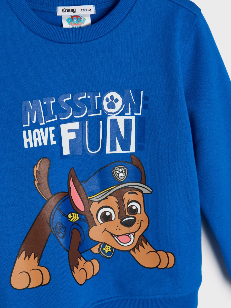 Paw patrol 2024 hoodie