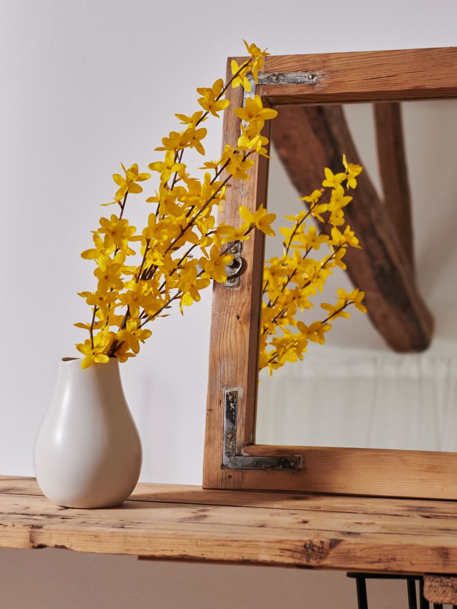 Plantă ornamentală - galben - SINSAY
