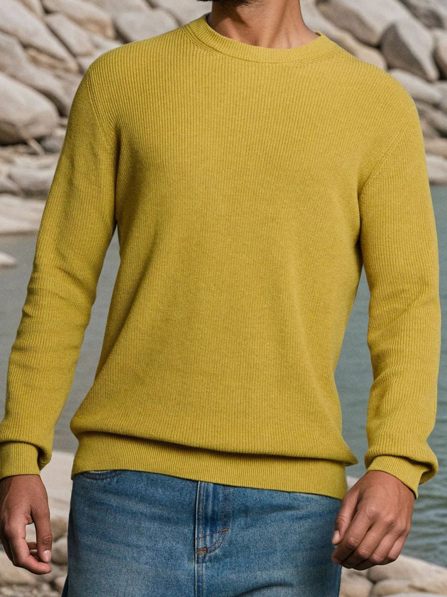 Pamata kokvilnas džemperis - dzintara - SINSAY