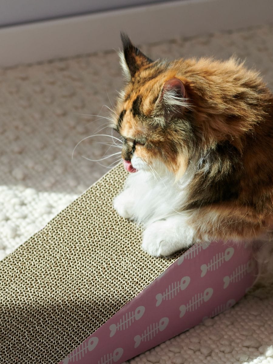 Covoraș de zgârieturi pentru pisică - roz-pastel - SINSAY