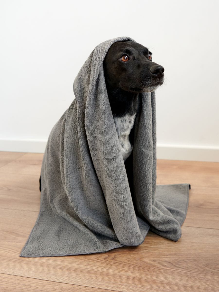 Asciugamano per cani Colore grigio chiaro - SINSAY - 8102R-09X