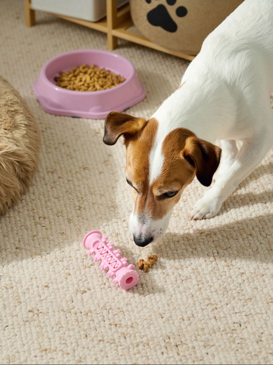 Igračka za kućnog ljubimca - roze - SINSAY