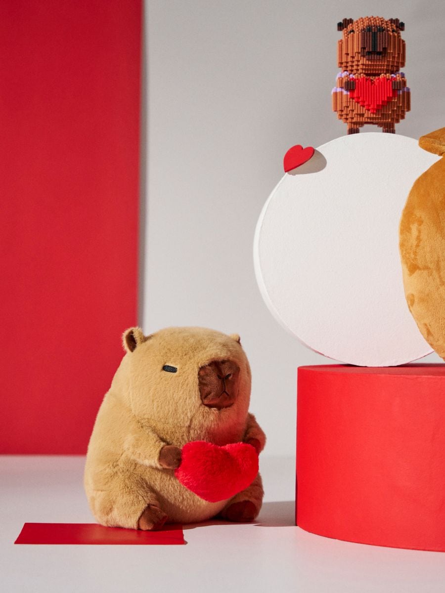 Λούτρινο καπιμπάρα - καφέ - SINSAY