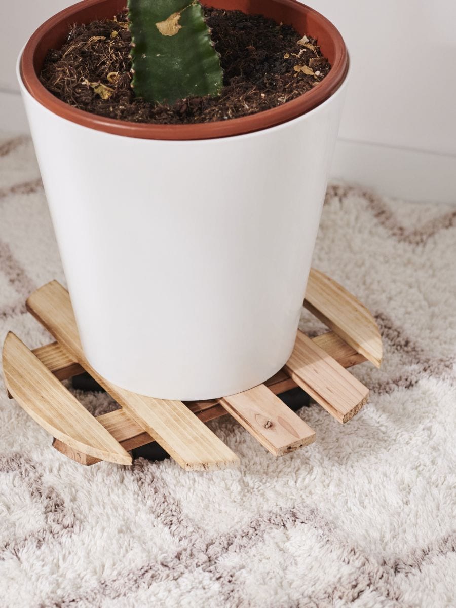 FLOWERPOT TRAY - beež - SINSAY