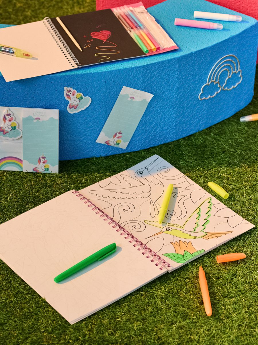 Värviraamat - mitmevärviline - SINSAY