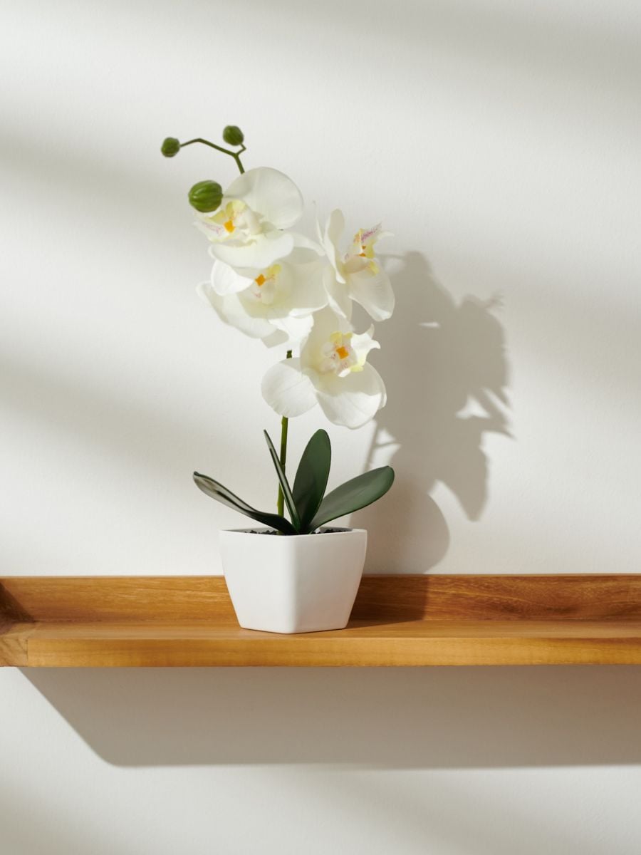 Ukrasna umjetna biljka - bijela - SINSAY